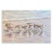 Stupell Industries Follow Me Sandpiper Painting Wall Plaque By Linda Sperruzzi